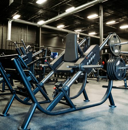 plate loaded power series scaled