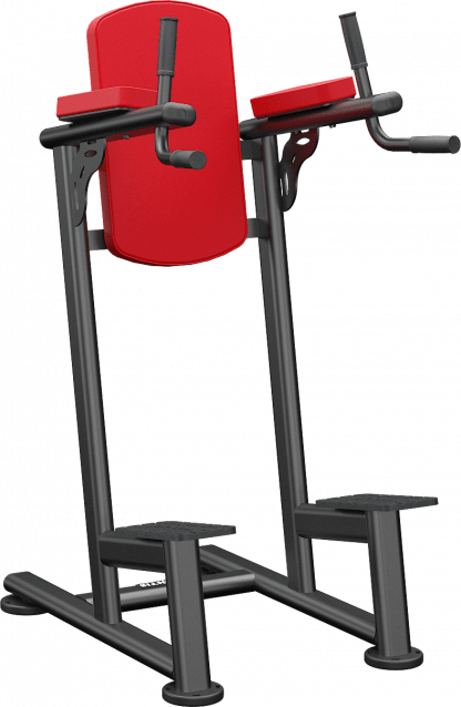 Standing leg raise