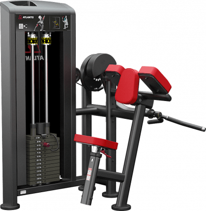 Biceps curl