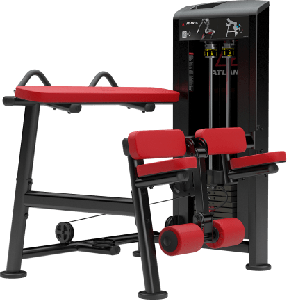Kneeling leg curl