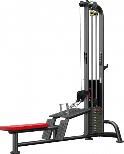 Unilateral Low Row