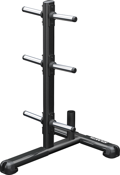 S181_Principal