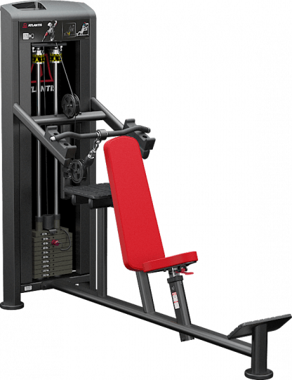 Overhead triceps (cable motion)